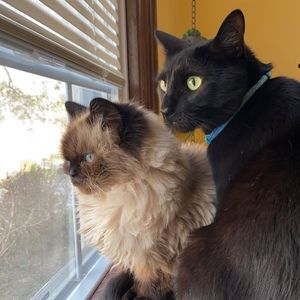 Meet your Posher, Gina